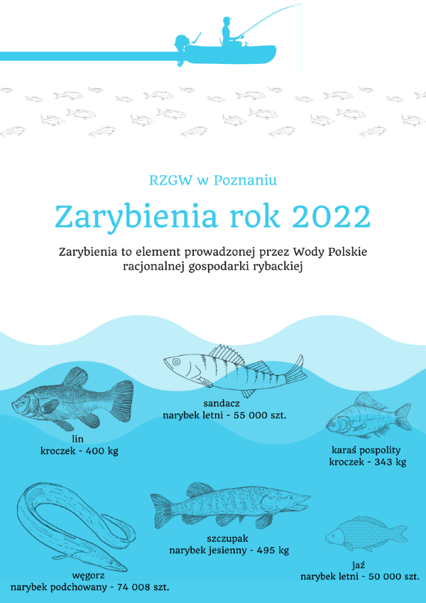 600zmniejszona poprawiona Zarybienia RZGW Poznań rok 2022 grafika